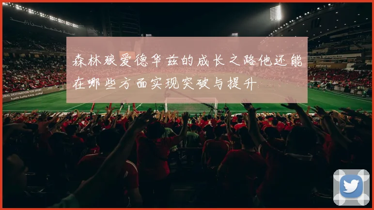 森林狼爱德华兹的成长之路他还能在哪些方面实现突破与提升