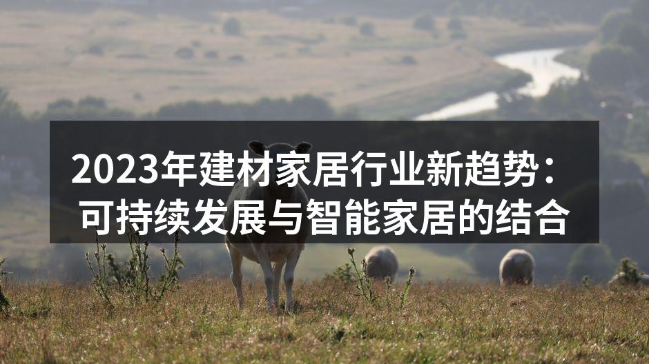 现代家居中的可持续设计实例